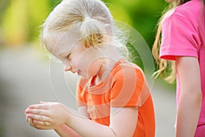 Adorable little girl catching little babyfrogs