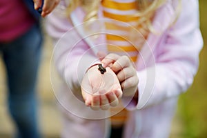 Adorable little girl catching little babyfrogs