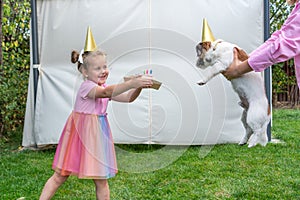 Adorable little girl congratulates her pet Jack Russell Terrier dog with a birthday cake in the garden of her home. Holiday