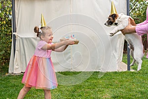 Adorable little girl congratulates her pet Jack Russell Terrier dog with a birthday cake in the garden of her home. Holiday