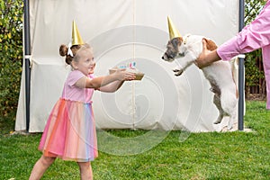 Adorable little girl congratulates her pet Jack Russell Terrier dog with a birthday cake in the garden of her home. Holiday