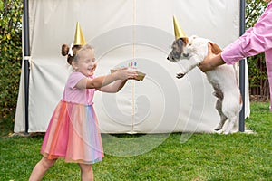 Adorable little girl congratulates her pet Jack Russell Terrier dog with a birthday cake in the garden of her home. Holiday