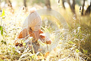 Adorable little girl discovering nature at the autumn forest, sunny day.