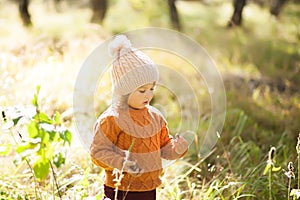 Adorable little girl discovering nature at the autumn forest, sunny day.