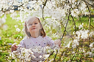 Adorable little girl enjoying nice and sunny spring day near apple tree in full bloom