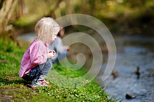 Adorable little girl feeding ducks