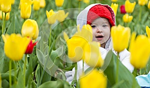 Adorable little girl gathering tulips in the garden