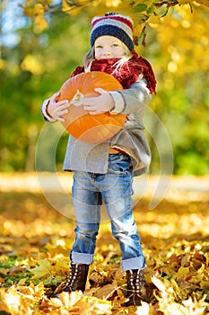 Adorable little girl having fun on a pumpkin patch on beautiful autumn day