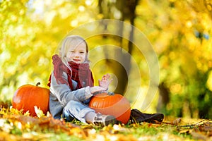 Adorable little girl having fun on a pumpkin patch on beautiful autumn day