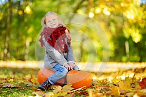 Adorable little girl having fun on a pumpkin patch on beautiful autumn day