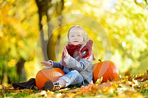 Adorable little girl having fun on a pumpkin patch on beautiful autumn day