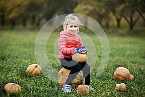 Adorable little girl having fun on pumpkin patch farm. Cute child farmer sitting on huge pumpkin and smiling.