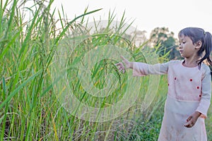 Adorable little girl laughing in a meadow - happy girl at sunset