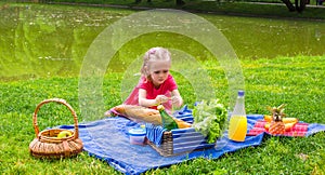 Adorable little girl on picnic outdoor near the