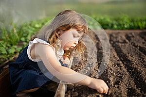 Adorable little girl planting seeds in the ground at the greenhouse