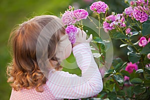 Adorable little girl smelling garden roses.