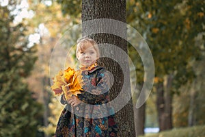 Adorable little girl stands with a bouquet of maple yellow leaves in the autumn park