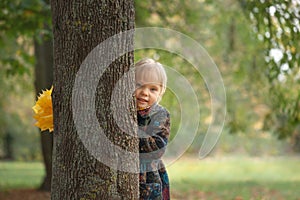 Adorable little girl stands with a bouquet of maple yellow leaves in the autumn park