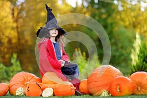 Adorable little girl wearing halloween costume having fun on a pumpkin patch