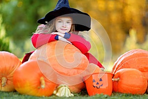 Adorable little girl wearing halloween costume having fun on a pumpkin patch