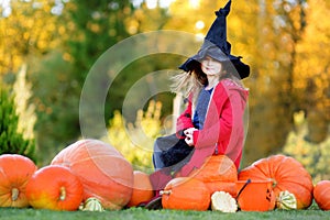 Adorable little girl wearing halloween costume having fun on a pumpkin patch