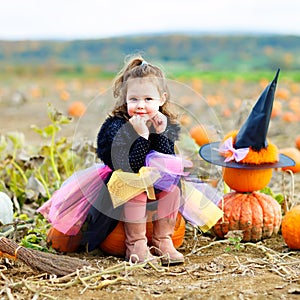 Adorable little girl wearing halloween witch costume having fun on pumpkin patch farm. Traditional family festival with