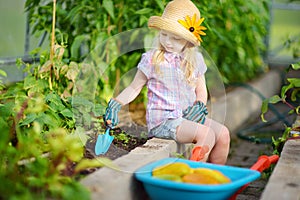 Adorable little girl wearing straw hat and childrens garden gloves playing with her toy garden tools in a greenhouse on summer day