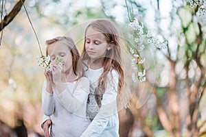 Adorable little girls in blooming cherry tree garden on spring day