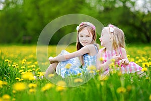 Adorable little girls having fun together in blooming dandelion meadow