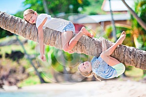 Adorable little girls at tropical beach having fun on palm tree during summer vacation. Kids enjoy their vacation like