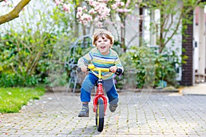 Adorable little kid boy driving his first bike or laufrad