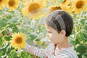 Adorable little kid boy on summer sunflower field outdoor. Happy child sniffing a sunflower flower on green field