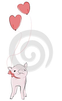 Adorable little pet piggy, with heart balloons