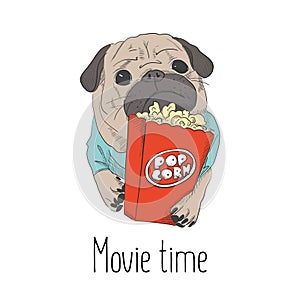 Adorable little puppy with pop corn paper bag. Cute pug illustration. Small dog relaxing on weekend in cinema. Leisur