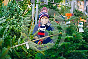 Adorable little smiling kid boy holding Christmas tree on market. Happy healthy child in winter fashion clothes choosing