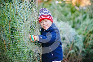 Adorable little smiling kid boy holding Christmas tree on market. Happy healthy child in winter fashion clothes choosing