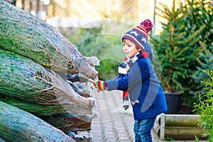 Adorable little smiling kid boy holding Christmas tree on market. Happy healthy child in winter fashion clothes choosing