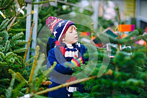 Adorable little smiling kid boy holding Christmas tree on market. Happy healthy child in winter fashion clothes choosing