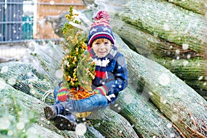 Adorable little smiling kid boy holding Christmas tree on market. Happy healthy child in winter fashion clothes choosing
