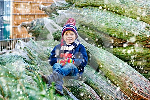 Adorable little smiling kid boy holding Christmas tree on market. Happy healthy child in winter fashion clothes choosing