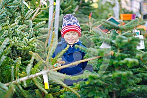 Adorable little smiling kid boy holding Christmas tree on market. Happy healthy child in winter fashion clothes choosing