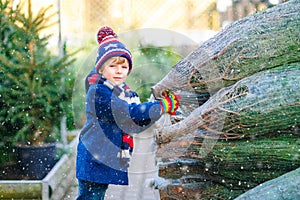 Adorable little smiling kid boy holding Christmas tree on market. Happy healthy child in winter fashion clothes choosing