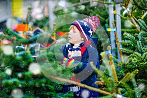 Adorable little smiling kid boy holding Christmas tree on market. Happy healthy child in winter fashion clothes choosing