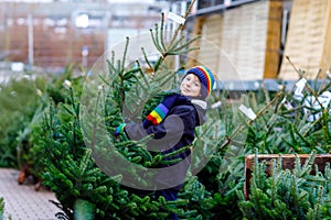 Adorable little smiling kid boy holding Christmas tree on market. Happy healthy child in winter fashion clothes choosing