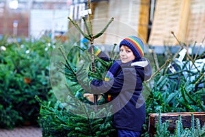 Adorable little smiling kid boy holding Christmas tree on market. Happy healthy child in winter fashion clothes choosing