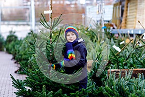 Adorable little smiling kid boy holding Christmas tree on market. Happy healthy child in winter fashion clothes choosing