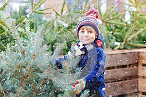 Adorable little smiling kid boy holding Christmas tree on market. Happy healthy child in winter fashion clothes choosing