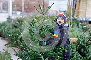 Adorable little smiling kid boy holding Christmas tree on market. Happy healthy child in winter fashion clothes choosing