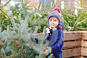 Adorable little smiling kid boy holding Christmas tree on market. Happy healthy child in winter fashion clothes choosing