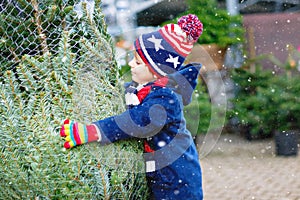 Adorable little smiling kid boy holding Christmas tree on market. Happy healthy child in winter fashion clothes choosing